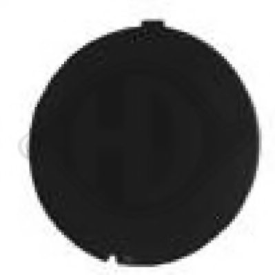 FIAT 735417221 Cover, bumper
